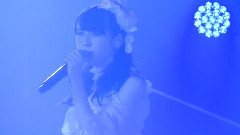 おしべとめしべと夜の蝶々