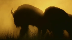 Beautiful World & Beautiful Nature