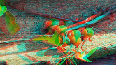 Giovanni Marradi - Nature 3D