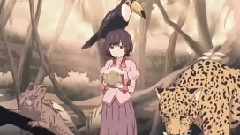 给最爱的羽川翼