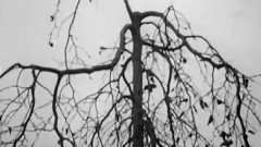 Agnes Obel - Fuel To Fire