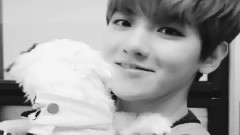 给自己的情书 伯贤