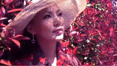 任雁 - 苏州夜曲