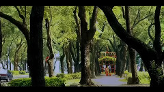 Seven Sirens And A Silver Tear