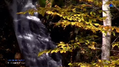 The Sound Of Silence