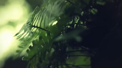 All You've Ever Wanted