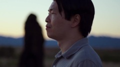 The Horses Are Stuck