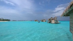 何真真 - 贝壳里的心事-夏