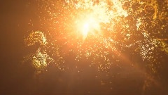 2012伦敦奥运会火炬传递预告片