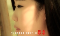 人生若只如初见