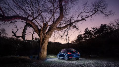 Until The Last Falling Star