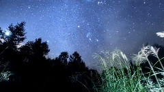 Le Parfum De Eglises