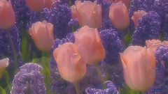 Dancing With The Wind