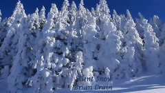 Silent Snow