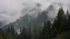 Kenny G,音乐短片 - Falling In The Moonlight