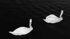 Cashmere Cat 官方试听版