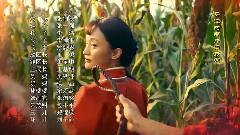 九儿 电视剧<红高粱>片尾剪辑