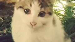 灿烈INS更新短频1则