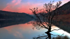 Simon O'Shine,音乐短片 - Dream About You