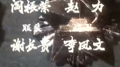 对越反击战 电影<自豪吧母亲>主题曲