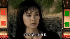 彩云伴海鸥 电视剧<海鸥飞处彩云飞>片尾曲