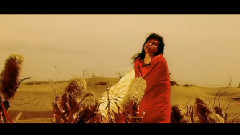 踊る鳥と金の雨