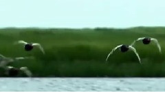 呼和浩特我的眷恋