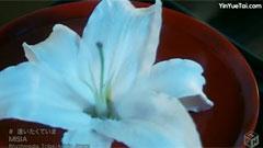 逢いたくていま