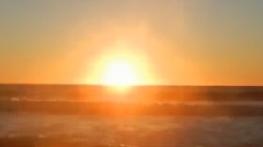 I'll Never Let You Sleep Alone