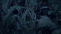 The Norwegian Navy Command