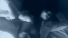 我依然是你的情人