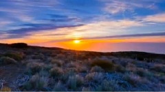 Sofia Jannok - Liekkas