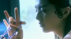 青蛇的庭院之美