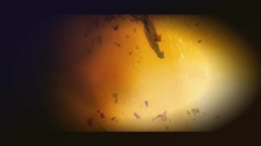 <48小时>OST 预告