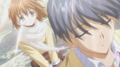 樱花飞雪 最美是你