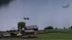 花楼恋歌 葫芦丝独奏