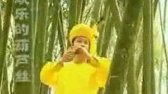 竹林深处 葫芦丝独奏