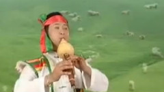 春到草原 葫芦丝独奏