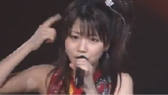 直觉~时效恋爱~