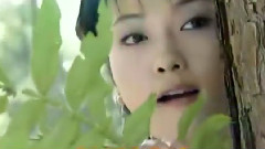 一路风雨走过来