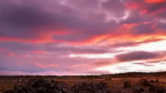 Down By The Salley Gardens