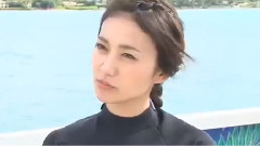 ネ申テレビ シーズン14 #5 予告