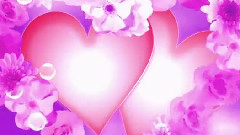 Happy Valentine's Day