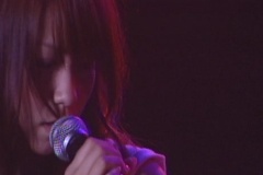 おしべとめしべと夜の蝶々