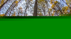 呼伦贝尔延时摄影:北国之秋