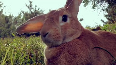 earth music✖史大力[GLIMMER]