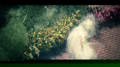 問うてはその応え