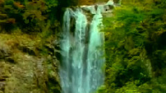 民乐群星 - 浪花里飞出欢乐的歌