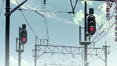 当樱花飞舞的时候