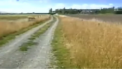 民乐群星 - 我愿是只小燕